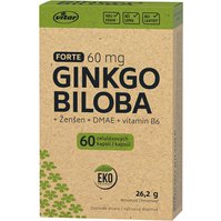Vitar EKO Ginkgo biloba forte